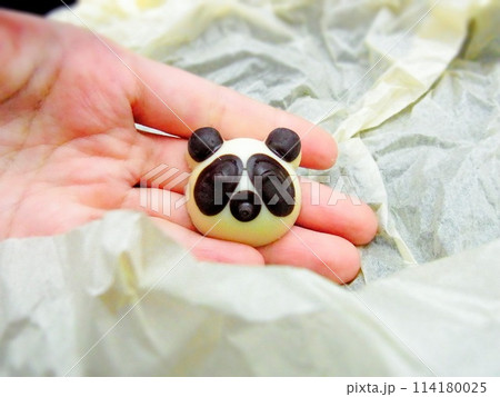 パンダのお菓子を持つ手 パンダのお菓子を持つ手 114180025