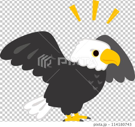 張開翅膀的禿鷹角色 張開翅膀的禿鷹角色 114180743