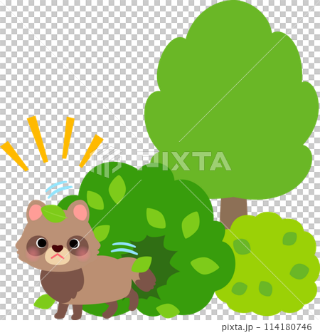 A raccoon coming out of the bush 114180746