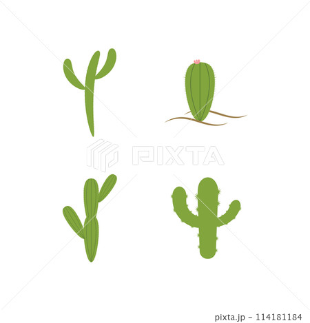 Cactus illustration flat design Cactus illustration flat design 114181184