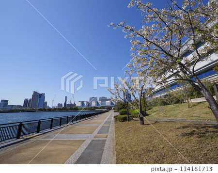 有明西ふ頭公園 有明西ふ頭公園 114181713