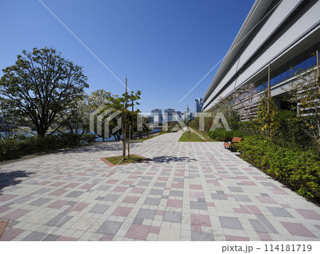 有明西ふ頭公園 有明西ふ頭公園 114181719