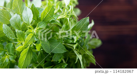 fresh aromatic basil on a brown wooden background. Macro and close up image 114182067