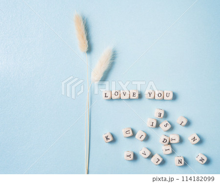 minimalistic flat lay with white dried flowers and scatter cubes with the word love you minimalistic flat lay with white dried flowers and scatter cubes with the word love you 114182099