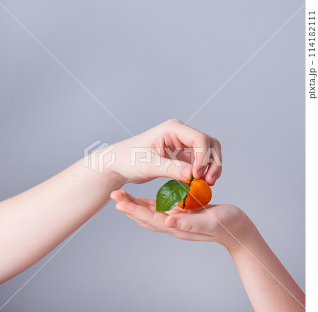one hand puts a sweet and juicy tangerine in the other child's hand on a gray background. one hand puts a sweet and juicy tangerine in the other child's hand on a gray background. 114182111