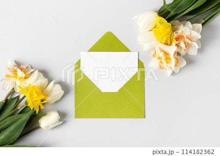 Green envelope with clean white sheet of paper for your text and spring flowers white tulips and daffodils on gray background. Invitation to the holidays. Flat lay. 114182362