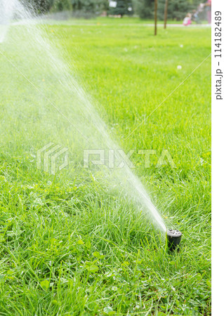Automatic smart lawn sprinkler with adjustable head watering green lawn grass in sunny day Automatic smart lawn sprinkler with adjustable head watering green lawn grass in sunny day 114182489