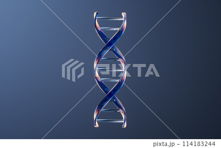 立体 3次元 3D 114183244
