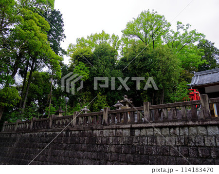名古屋の村社 日吉神社境内 名古屋の村社 日吉神社境内 114183470