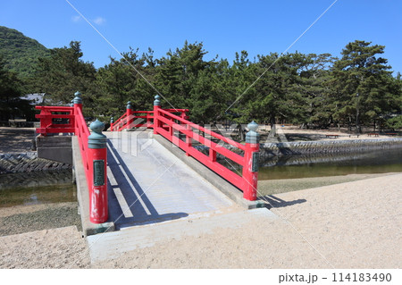 津田の松原 114183490