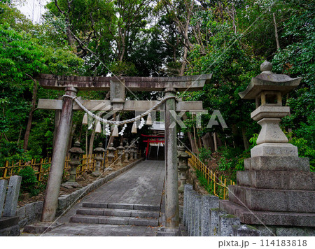 名古屋の村社 日吉神社境内の鳥居 名古屋の村社 日吉神社境内の鳥居 114183818