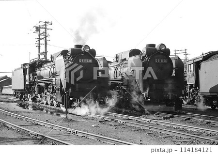 新津に停車するD51形蒸気機関車(1030号機と1154号機) 新津に停車するD51形蒸気機関車(1030号機と1154号機) 114184121