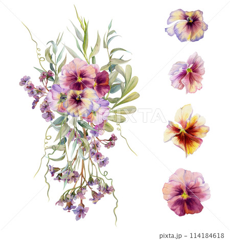 Hand drawn watercolor illustration botanical flowers leaves. Mauve pansy viola, locust indigo branch, willow eucalyptus, bergenia heliotrope lungwort, tendrils. Bouquet isolated white. Wedding, cards 114184618