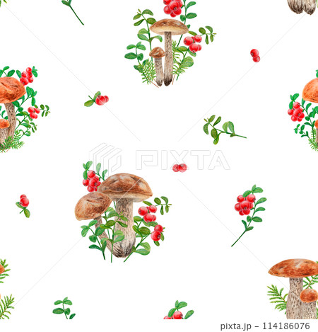 Wild mushrooms, red wild berries watercolor seamless pattern. Hand drawn botanical realistic ornament. Forest boletus and cranberry botanical motif for printing on fabric, packing paper, wallpaper Wild mushrooms, red wild berries watercolor seamless pattern. Hand drawn botanical realistic ornament. Forest boletus and cranberry botanical motif for printing on fabric, packing paper, wallpaper 114186076