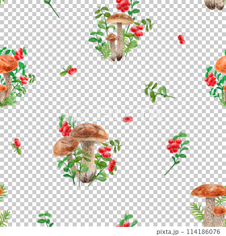 Wild mushrooms, red wild berries watercolor seamless pattern. Hand drawn botanical realistic ornament. Forest boletus and cranberry botanical motif for printing on fabric, packing paper, wallpaper Wild mushrooms, red wild berries watercolor seamless pattern. Hand drawn botanical realistic ornament. Forest boletus and cranberry botanical motif for printing on fabric, packing paper, wallpaper 114186076