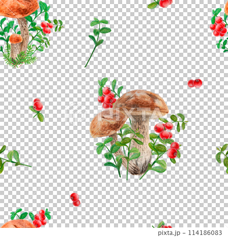Wild mushrooms, red wild berries watercolor seamless pattern. Hand drawn botanical realistic ornament. Forest boletus and cranberry botanical motif for printing on fabric, packing paper, wallpaper Wild mushrooms, red wild berries watercolor seamless pattern. Hand drawn botanical realistic ornament. Forest boletus and cranberry botanical motif for printing on fabric, packing paper, wallpaper 114186083