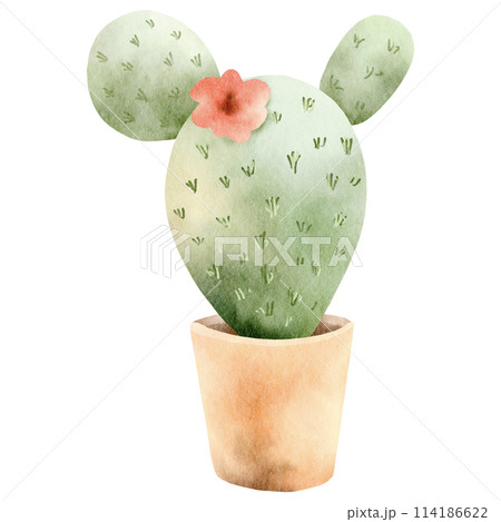 Cactus watercolor clipart-3 Cactus watercolor clipart-3 114186622