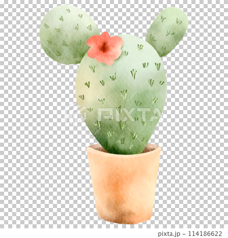 Cactus watercolor clipart-3 Cactus watercolor clipart-3 114186622
