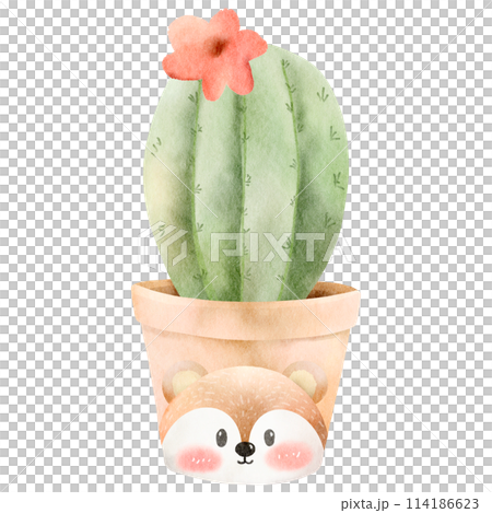 Cactus watercolor clipart-6 Cactus watercolor clipart-6 114186623