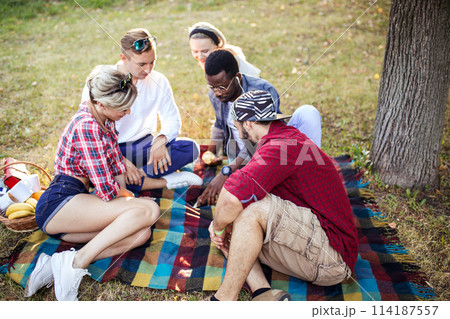Mixed race friends at the park making a picnic on the lown. 114187557