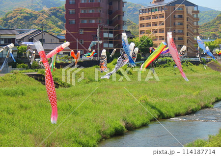 北九州市小倉南区の鯉のぼり祭り 114187714