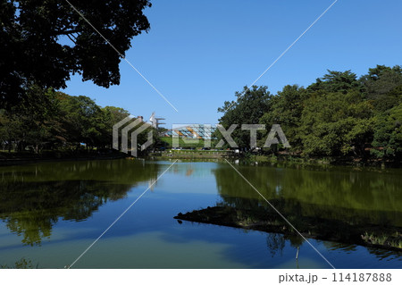大宮公園散策 大宮公園散策 114187888