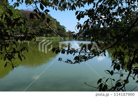 大宮公園散策 大宮公園散策 114187900
