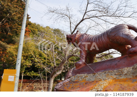 神社の境内に置かれた備前焼のトラ 114187939
