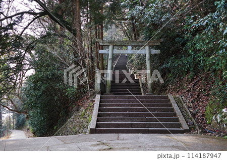 奥ノ院へ続く山道の鳥居と石段 114187947