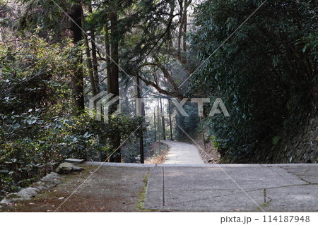 奥ノ院へと続く石畳の参道 奥ノ院へと続く石畳の参道 114187948