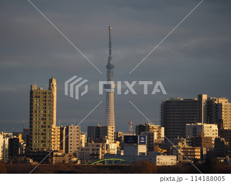 川口市荒川堤から見える夕陽を浴びる東京スカイツリー 川口市荒川堤から見える夕陽を浴びる東京スカイツリー 114188005
