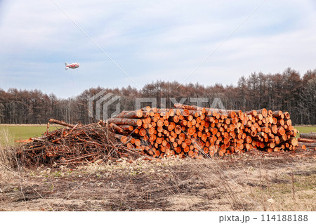 山から切り出され積み上げられた木材（北海道大樹町） 114188188