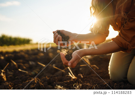 Female hands touching soil on the field. Agriculture, gardening or ecology concept 114188283