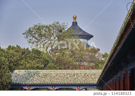 Temple of Heaven in Beijing, China 114188321