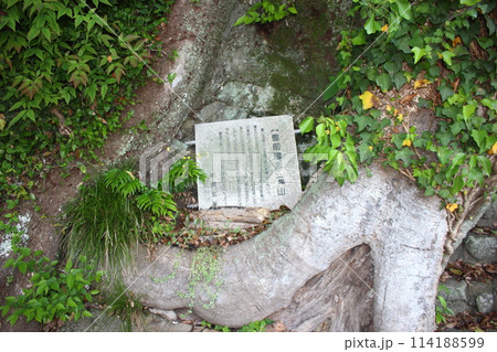 北九州市嵐山の豊前国志 石板 114188599