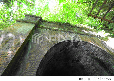 愛岐トンネル群の青もみじ 愛岐トンネル群の青もみじ 114188795