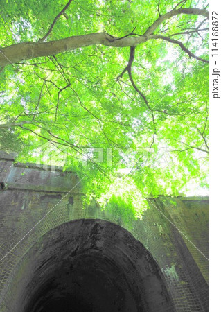 愛岐トンネル群の青もみじ 愛岐トンネル群の青もみじ 114188872