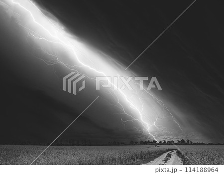 Dramatic Rain Sky With Rain Clouds On Horizon Above Rural Landscape Camola Colza Rapeseed Field. Country Road. Agricultural And Weather Forecast Concept Dramatic Rain Sky With Rain Clouds On Horizon Above Rural Landscape Camola Colza Rapeseed Field. Country Road. Agricultural And Weather Forecast Concept 114188964
