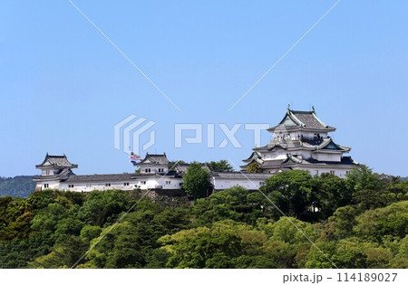 新緑の和歌山城　鯉のぼり有り 114189027