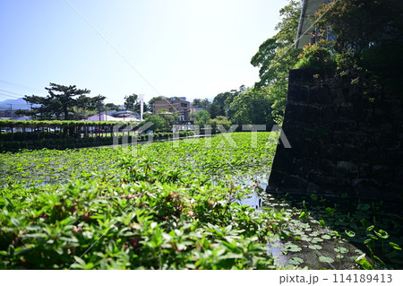 快晴の小田原城 114189413