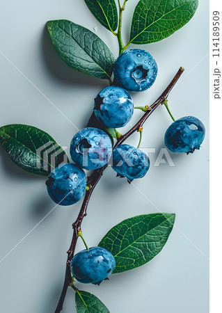 A creative arts piece featuring a branch of azure blueberries with green leaves on a white background, resembling a piece of jewellery made from natural materials 114189509
