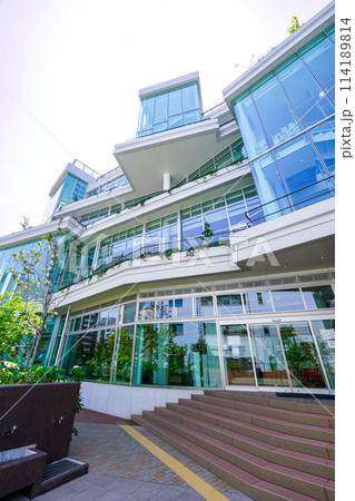 森を散策するように建物をめぐる 本の森ちゅうおう(中央区立京橋図書館) 森を散策するように建物をめぐる 本の森ちゅうおう(中央区立京橋図書館) 114189814