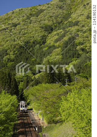 新緑の中を行く 南会津・会津鉄道 114190132