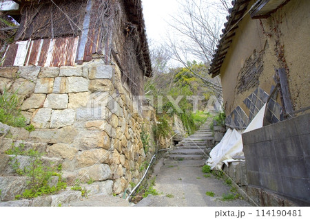 「志々島（ししじま）」大楠へと続くノスタルジックな散策路/香川県三豊市 114190481