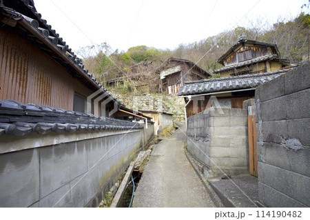 「志々島(ししじま)」大楠へと続くノスタルジックな散策路/香川県三豊市 「志々島(ししじま)」大楠へと続くノスタルジックな散策路/香川県三豊市 114190482