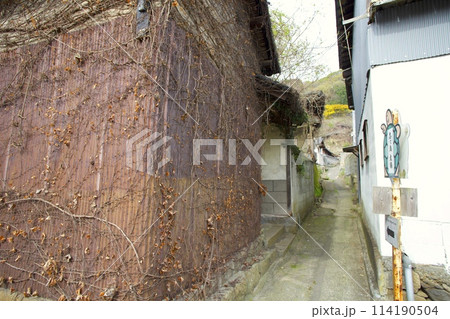 「志々島（ししじま）」大楠へと続くノスタルジックな散策路/香川県三豊市 114190504