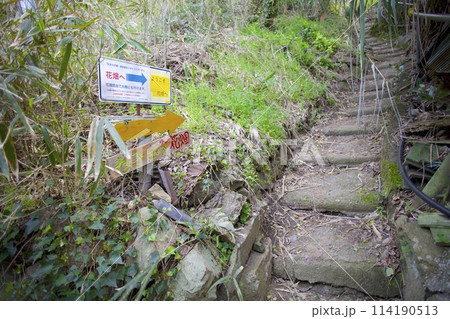 「志々島(ししじま)」天空の花畑へと続くノスタルジックな散策路/香川県三豊市 「志々島(ししじま)」天空の花畑へと続くノスタルジックな散策路/香川県三豊市 114190513