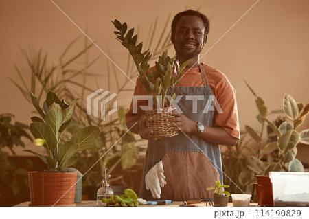 Waist up portrait of smiling African American man holding potted plant while enjoying gardening at home tinted peach Waist up portrait of smiling African American man holding potted plant while enjoying gardening at home tinted peach 114190829