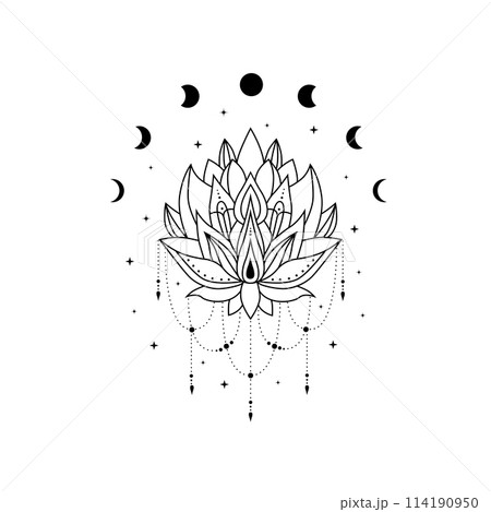 Black Lotus flower with moon phases, vector blooming lotus, celestial and magic lotus logo Black Lotus flower with moon phases, vector blooming lotus, celestial and magic lotus logo 114190950
