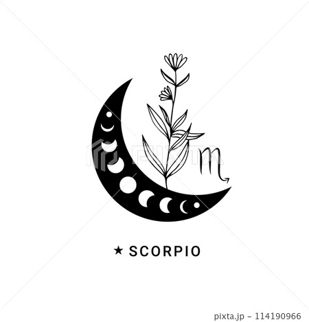 Scorpio zodiac sign with moon phase and flower Scorpio zodiac sign with moon phase and flower 114190966